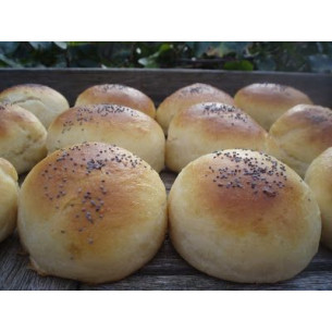 Medias Noches Docena 2