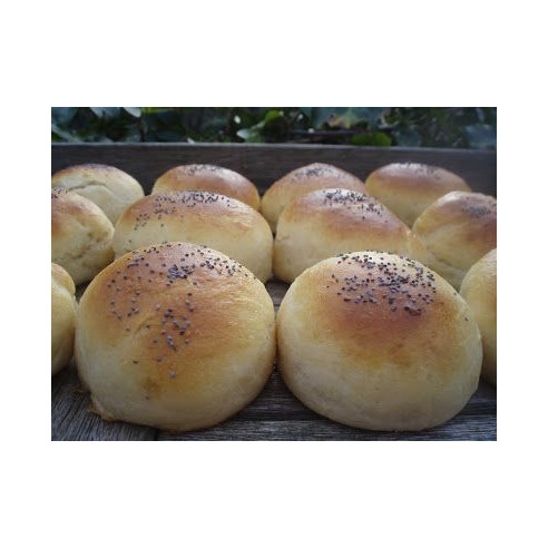 Medias Noches Docena