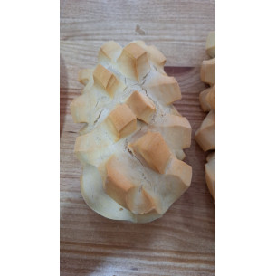 Pieza de chusquito
