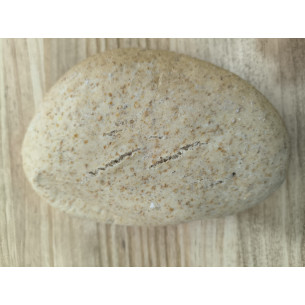 Pack 3 mollete grande integral 2