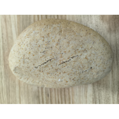 Pack 3 mollete grande integral