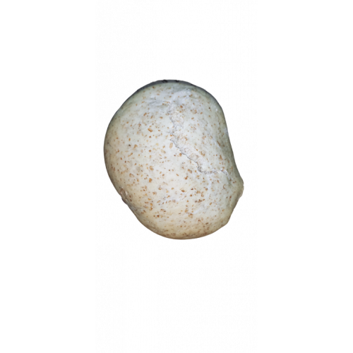 Pack 3 mollete grande integral